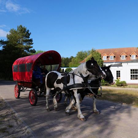 Neuendorf  Hotel Heiderose Hiddensee מראה חיצוני תמונה